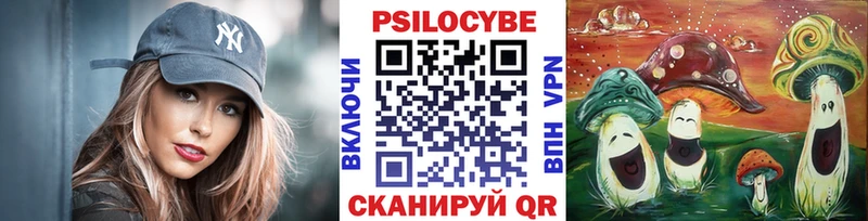 Купить  Андреаполь  Галлюциногенные грибы GOLDEN TEACHER 
